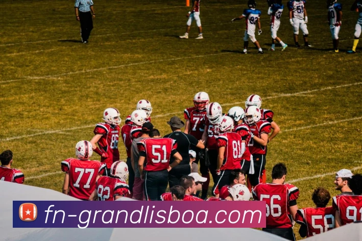 澳门新葡京娱乐平台生态图